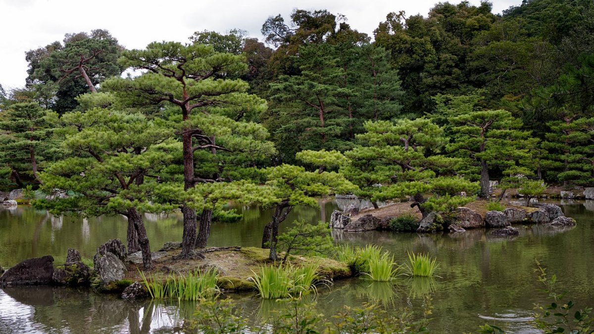 日本庭園