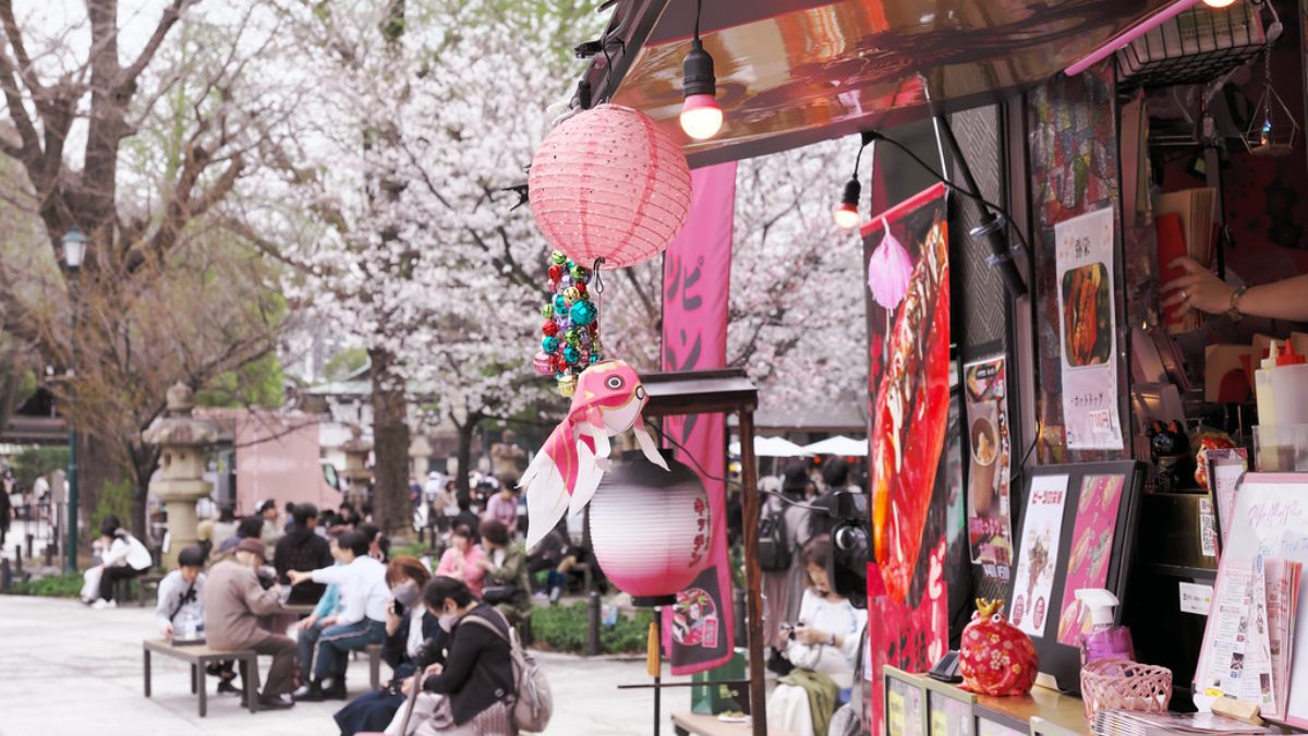 桜の木